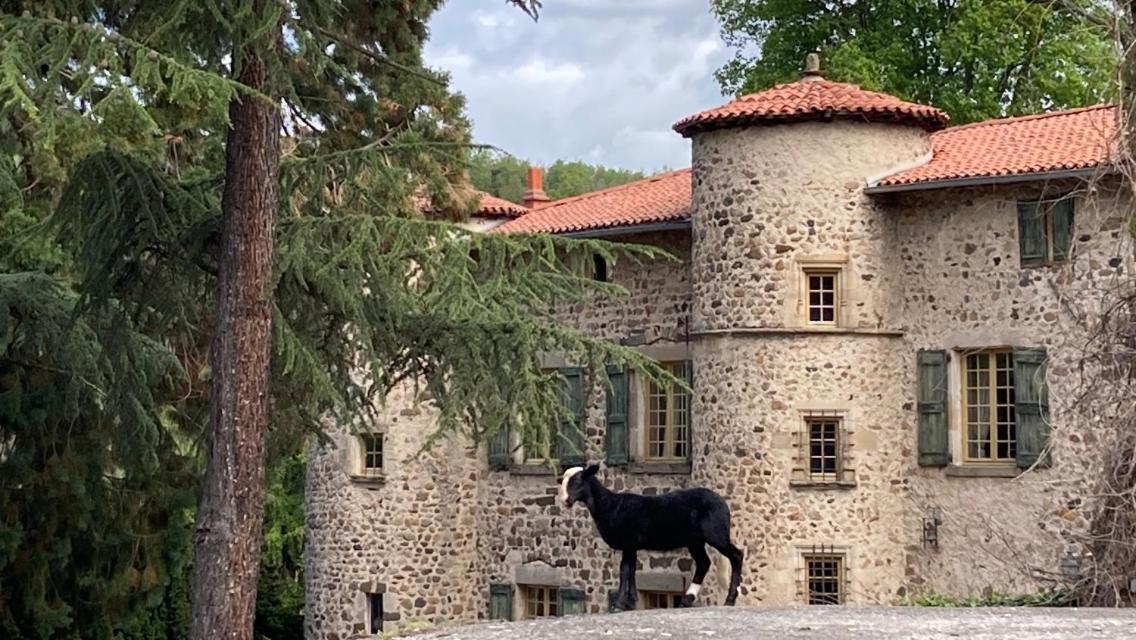 Chateau De Durianne Le Monteil  Exterior photo